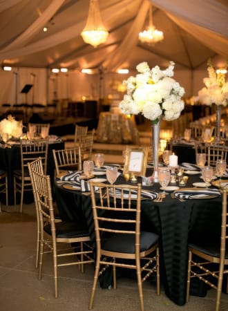 Tiffany Chair for events