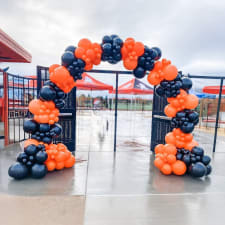 Balloon Arches