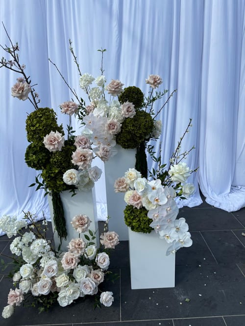 White Plinths Hire Package