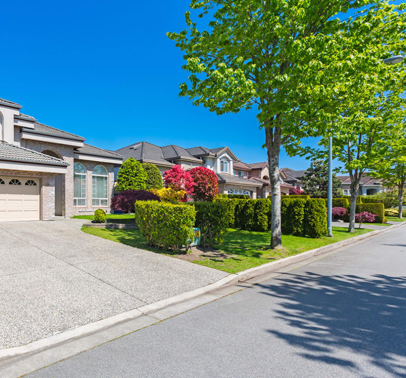 Beautiful trees in front of Sydney houses