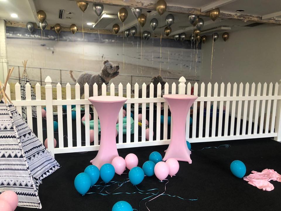 A room decorated with baby pink balloons and a white picket fence.