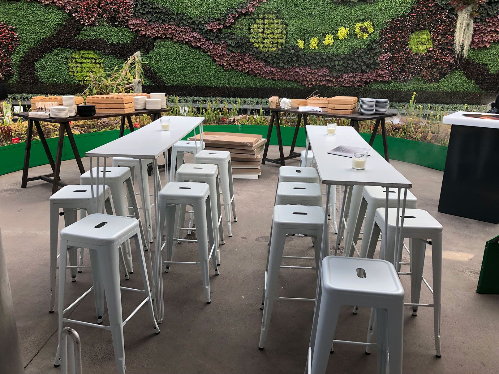 A set of white hairpin high bar stools in front of a green wall.