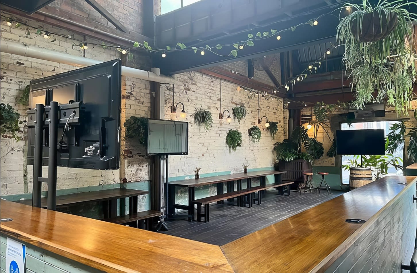 A bar featuring a suspended TV and lush plants adorning the ceiling.