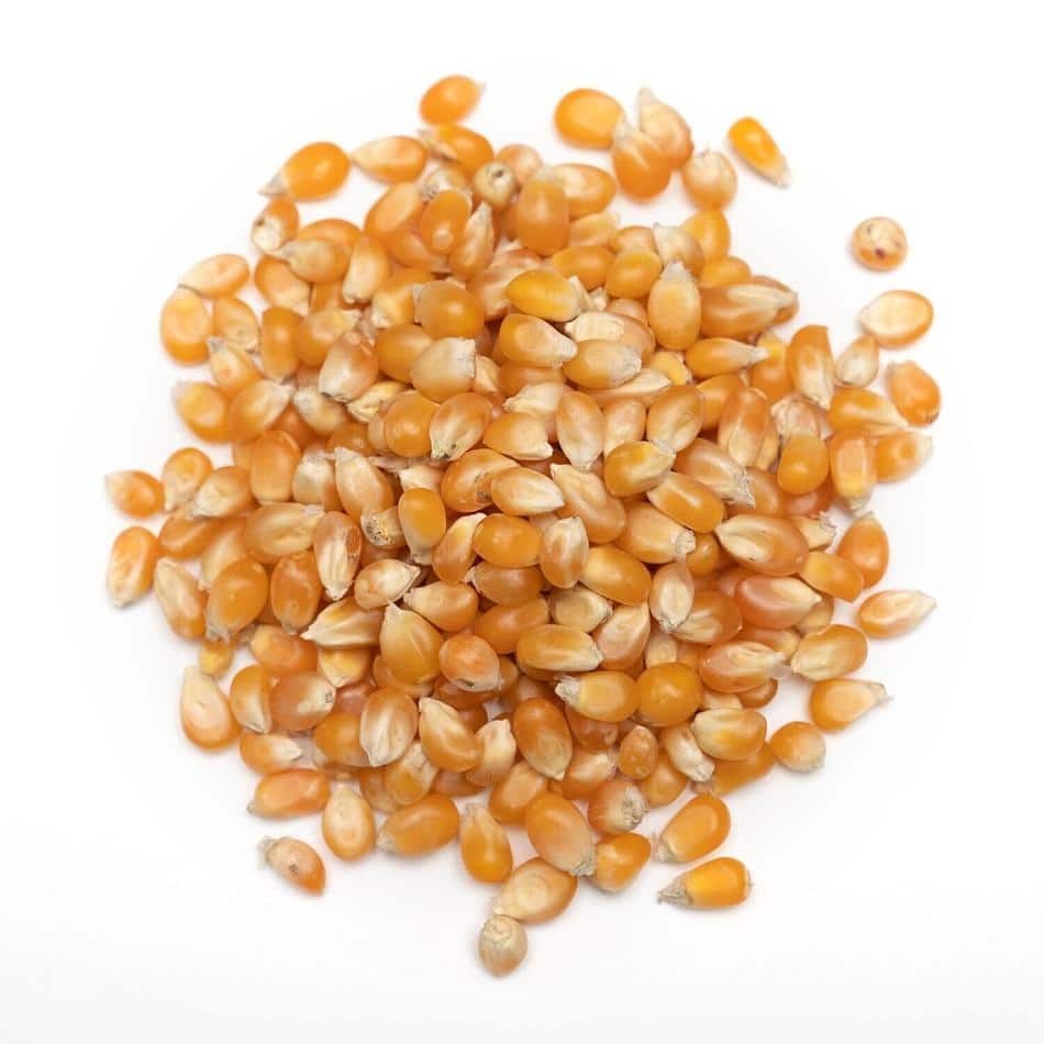 A pile of popcorn on a white background.