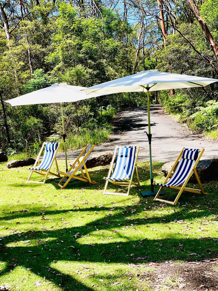 A group of lawn chairs with umbrellas on a grassy path