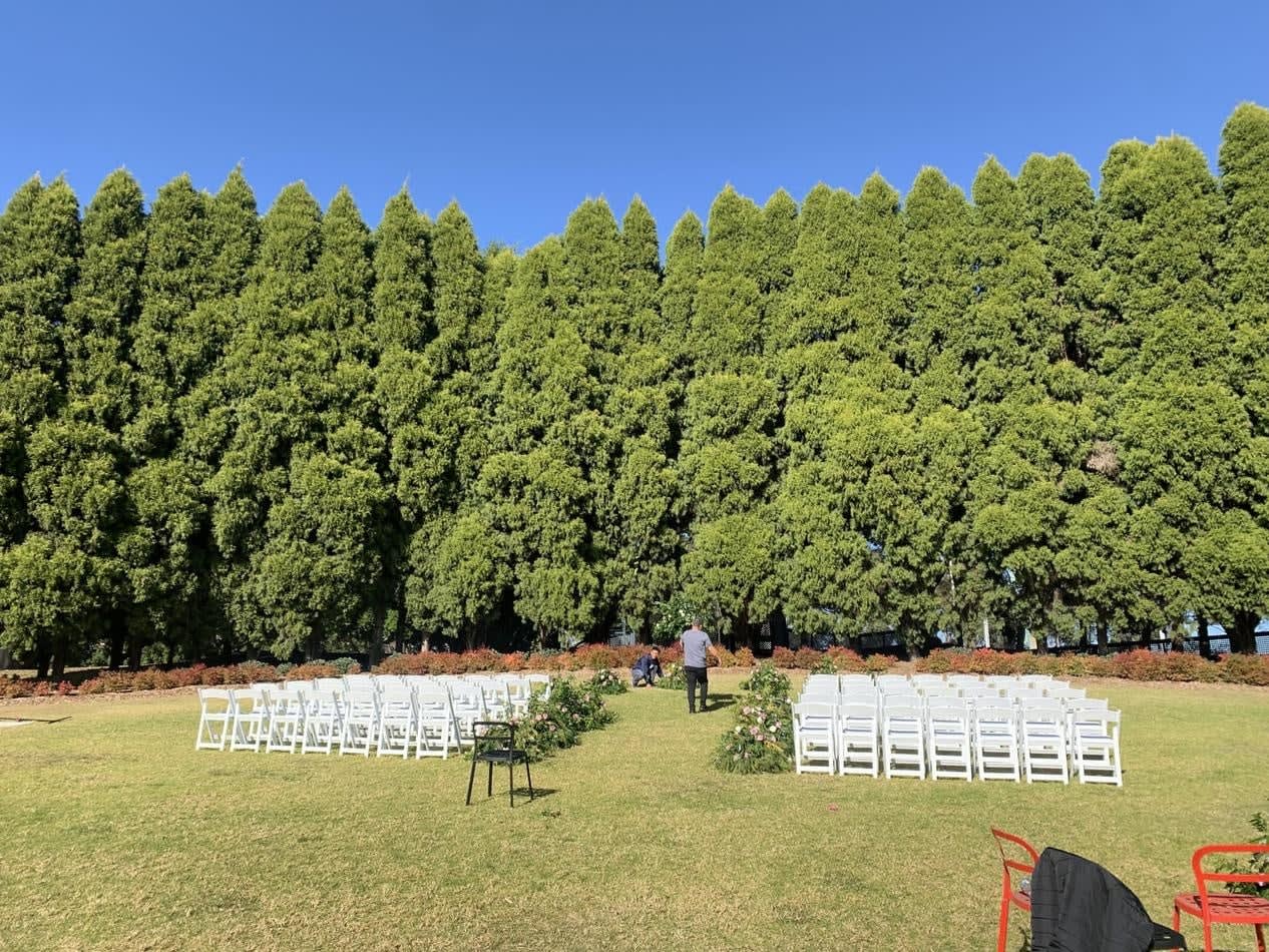 A wedding ceremony set up in front of a large tree, with white padded folding chairs hired for seating.