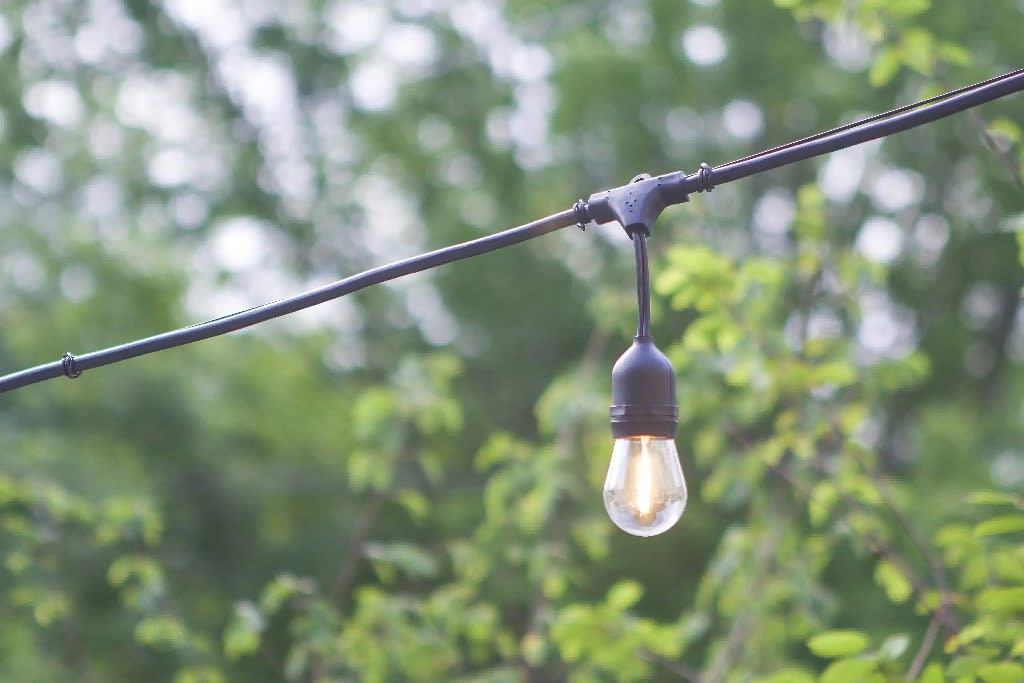 How To Set Up Festoon Lights