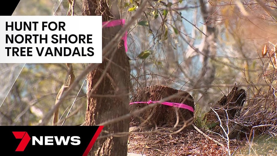 Council hunts for North Shore tree vandals