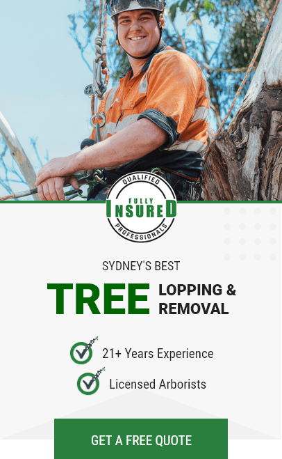 Tree lopping and removal banner ad