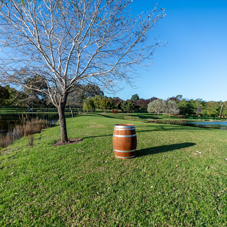 Our wine barrel on a grassy outdoor area