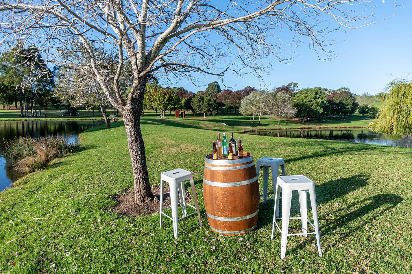 Our wine barrel with some Tolix tools next to a tree and Lake