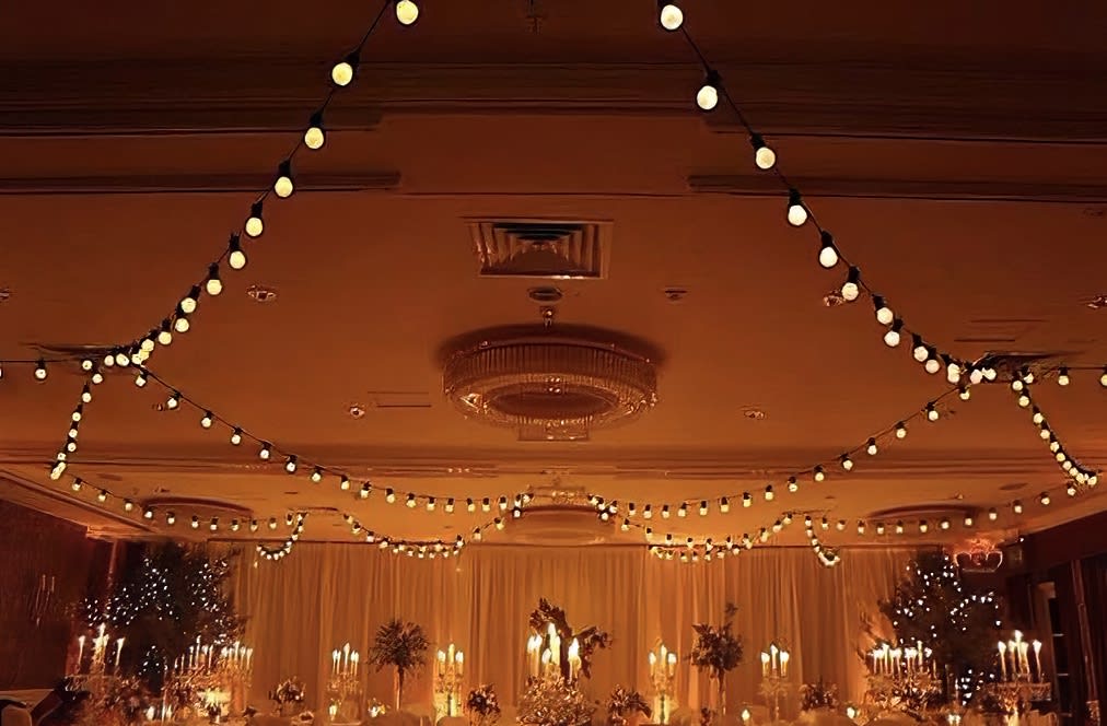 Our Festoon lights hired for a wedding reception