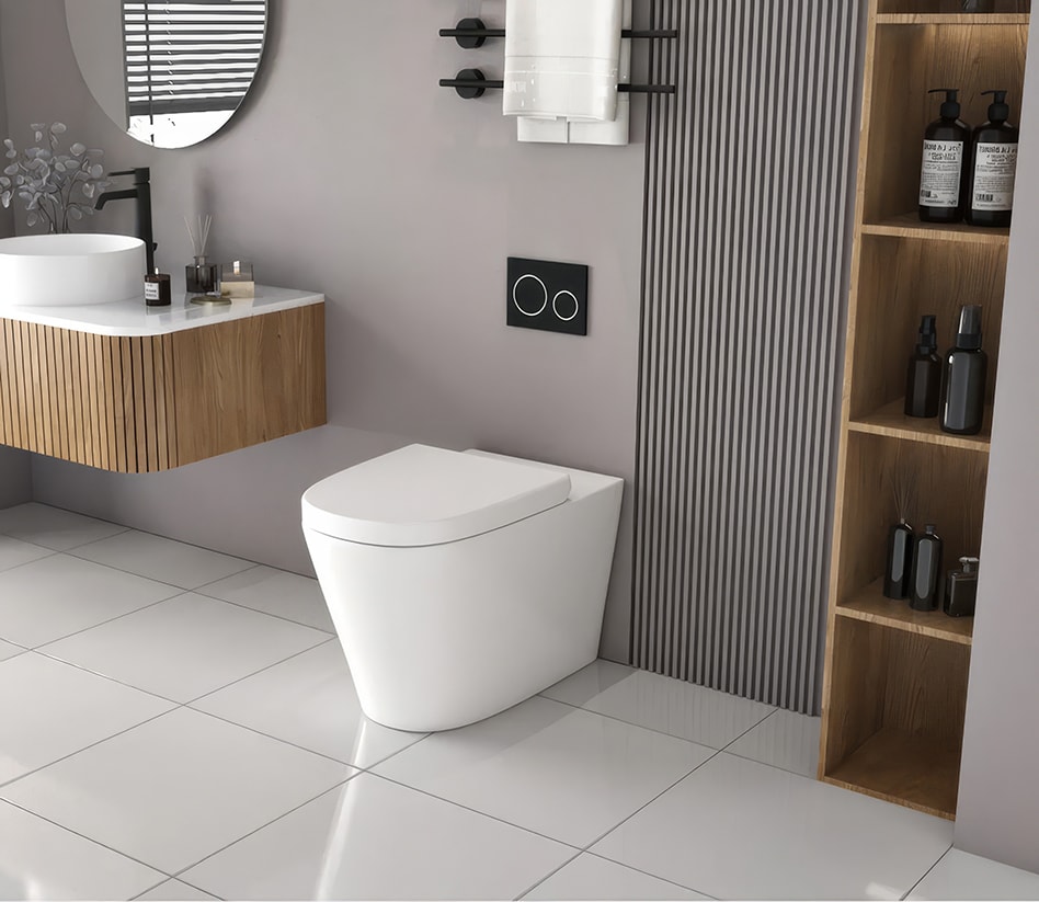 A brand new toilet installation