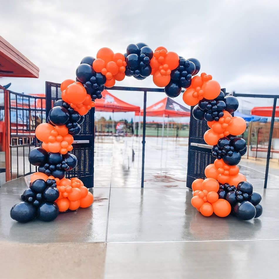 Balloon Arch