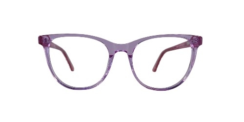 Montura de acetato ROXANNE RX6468