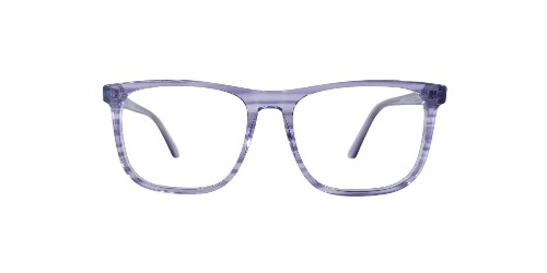 Montura de acetato ROXANNE RX6469