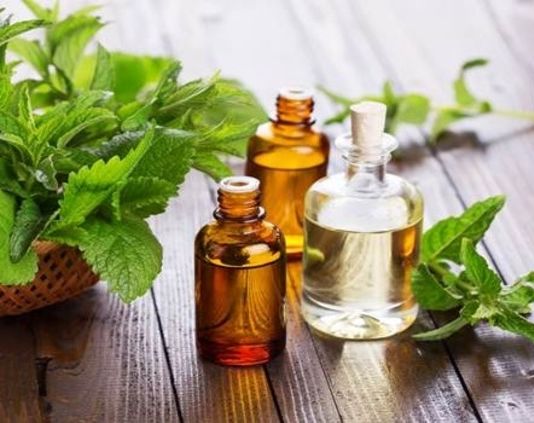 essential-oils-for-weight-loss