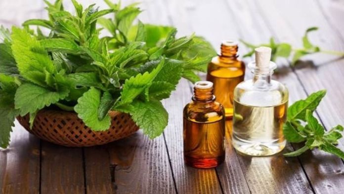 essential-oils-for-weight-loss