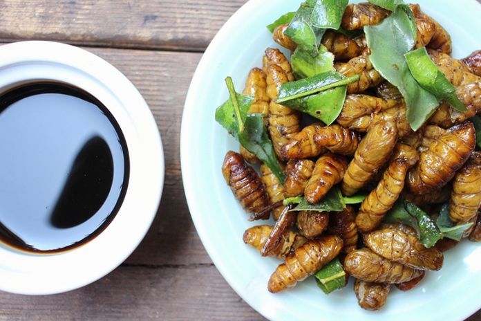 nutrition in eating bugs nutrition in eating bugs