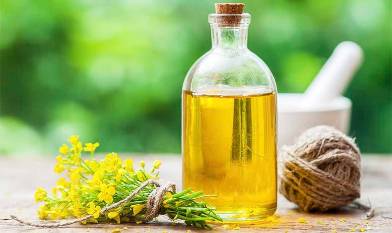 cla safflower oil nd apple cider vinegar