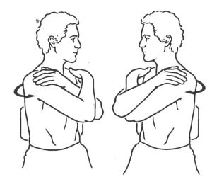 seated trunk rotation exercises