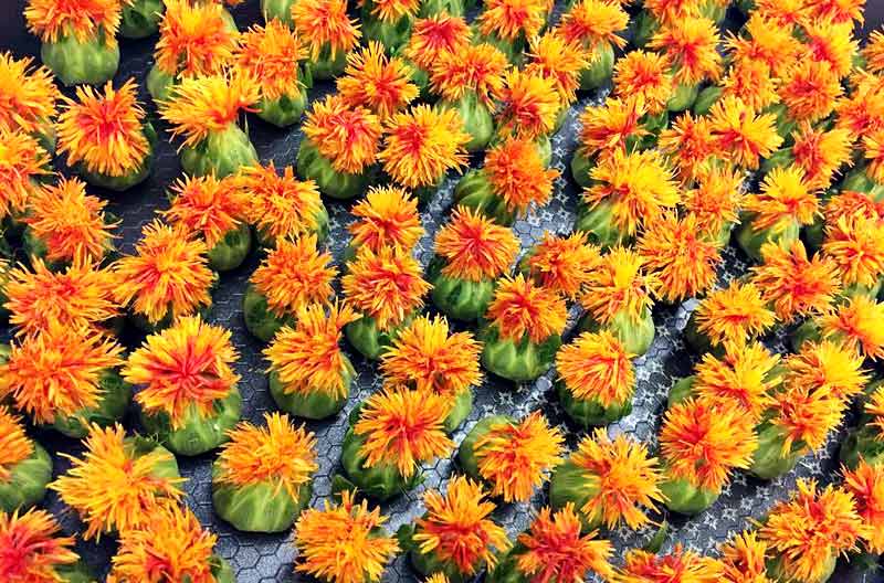 CLA Safflower Oil Review 2020 Full Breakdown Does It Really Work?