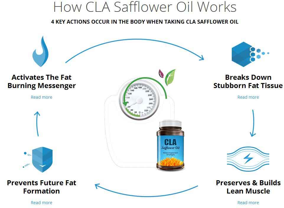 CLA Safflower Oil Review 2020 Full Breakdown Does It Really Work?