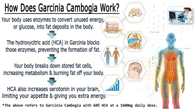 how does pure asian garcinia cambogia works
