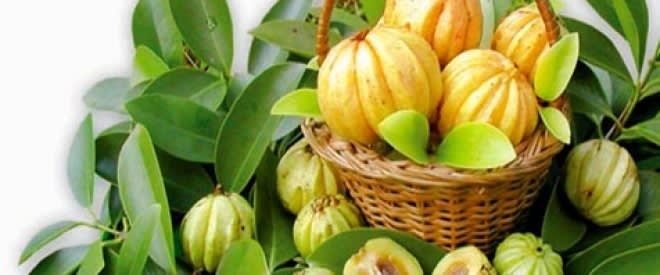 garcinia-cambogia-reviews-supplement