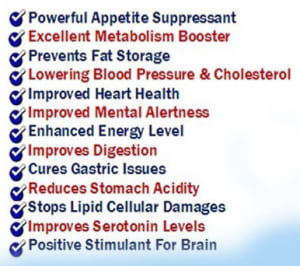 top garcinia cambogia benefits