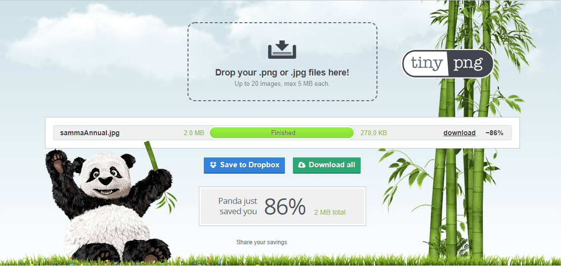 TinyPng Result - Compress images in WordPress