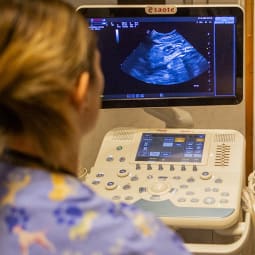 Képalkotó diagnosztika