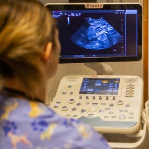 Képalkotó diagnosztika