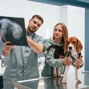 Képalkotó diagnosztika