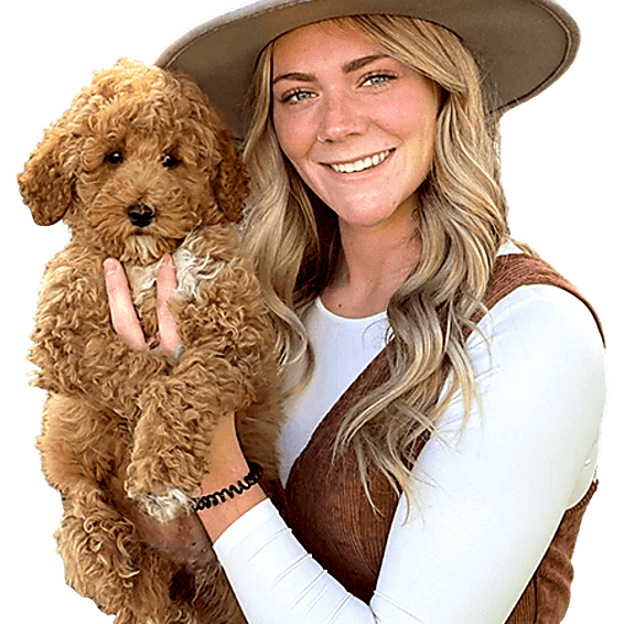 Térképes csomagpontok Shopify alá