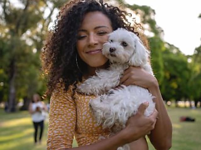 Lorem ipsum dolor sit amet, consectetur adipiscing elit