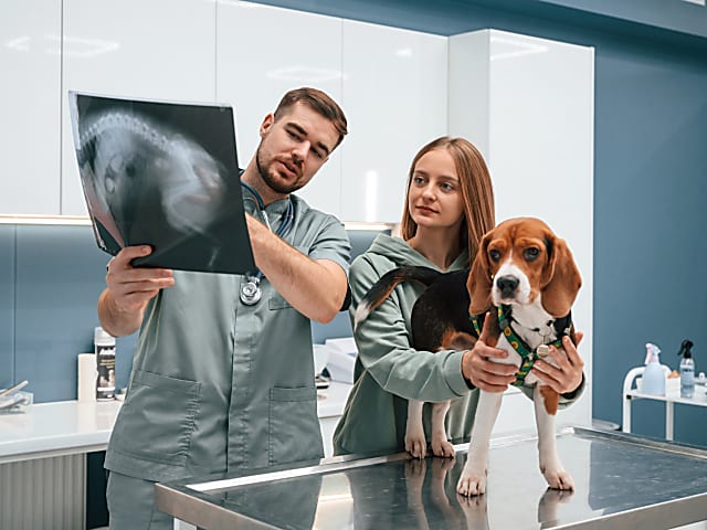 Képalkotó diagnosztika