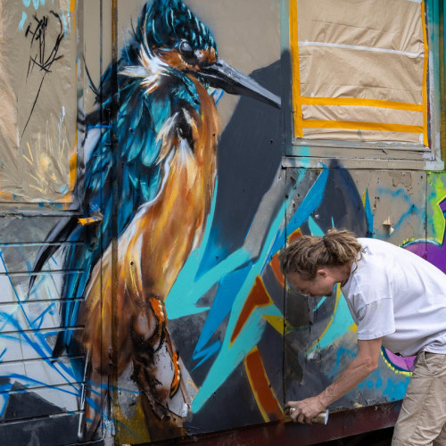 Graffiti van ijsvogel op treinwagon – streetartproject van Optyz tijdens festival Zuiderveen in Winschoten.