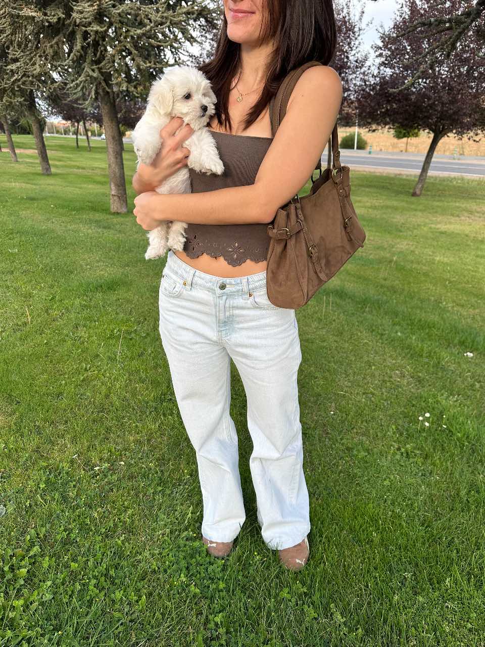 Cachorro con su familia