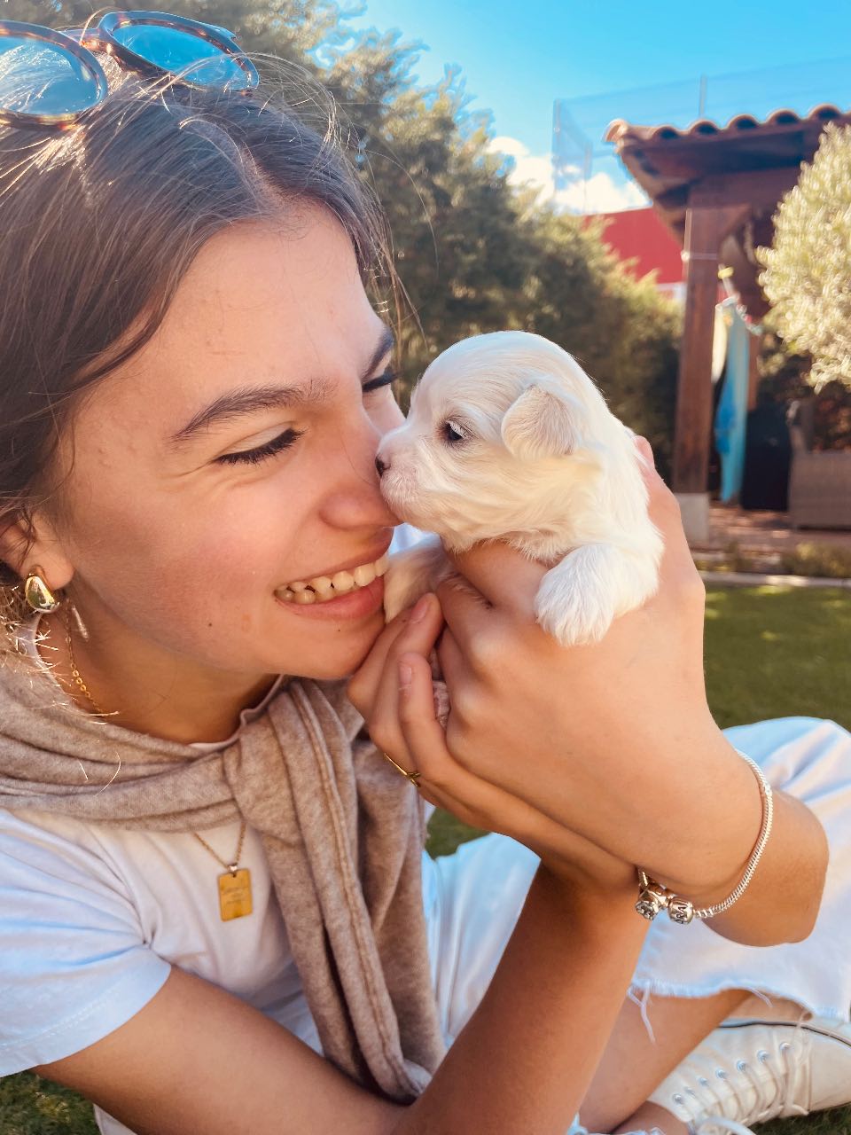 Cachorro con su familia
