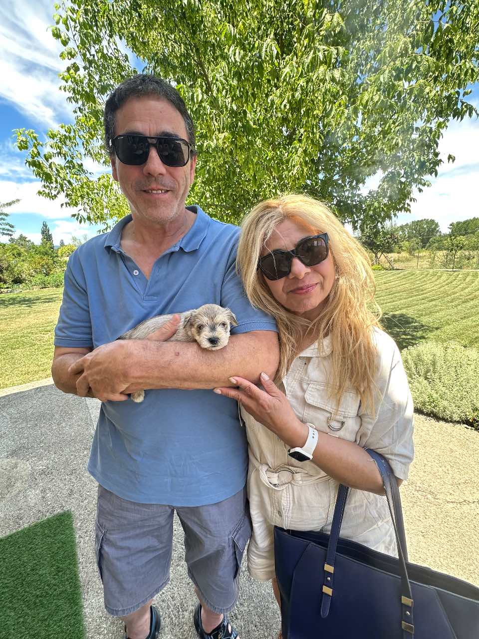 Cachorro con su familia