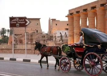 vistas-templo-luxor-calesa