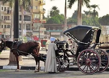 calesa-luxor