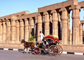 paseo-calesa-luxor