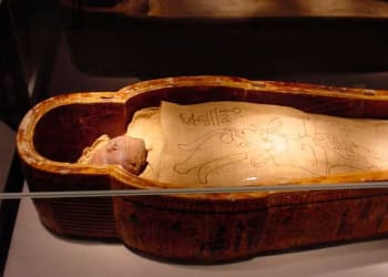 museo-monificacion