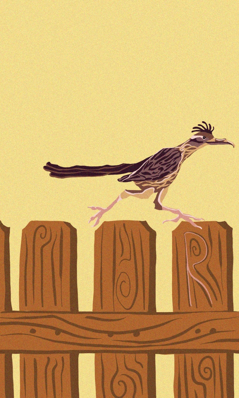R is for Road Runner