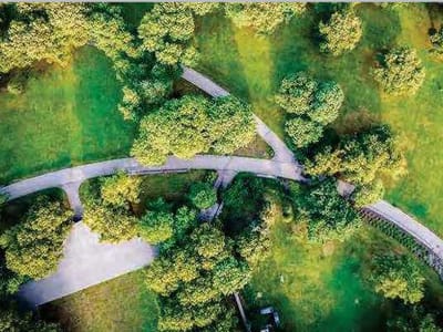 Prateek canary green landscape image