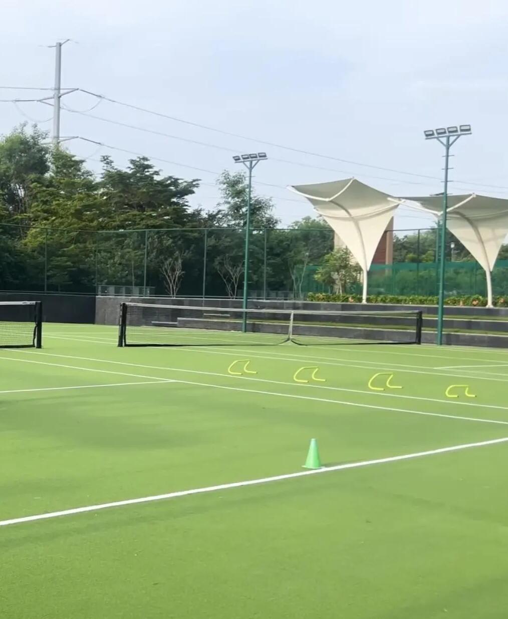 Gulshan dynasty lawn tennis court image