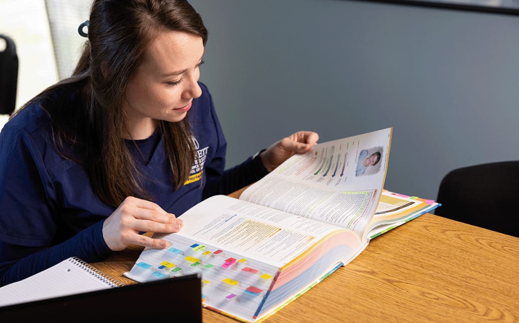 Averett ABSN student studying at table