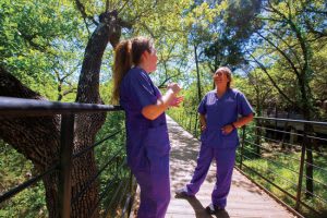 Two nursing students on campus